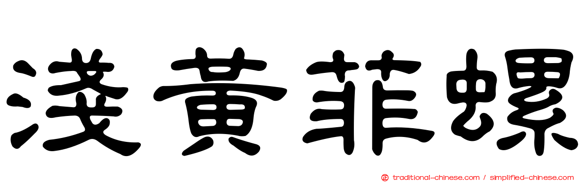 淺黃菲螺