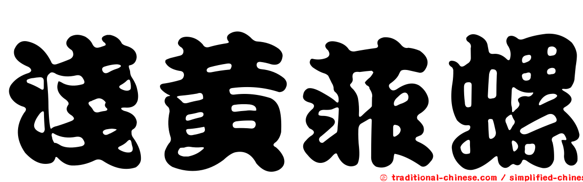 淺黃菲螺