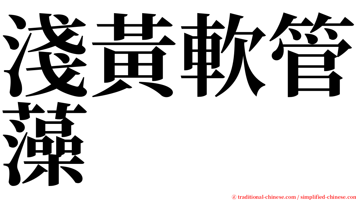 淺黃軟管藻 serif font