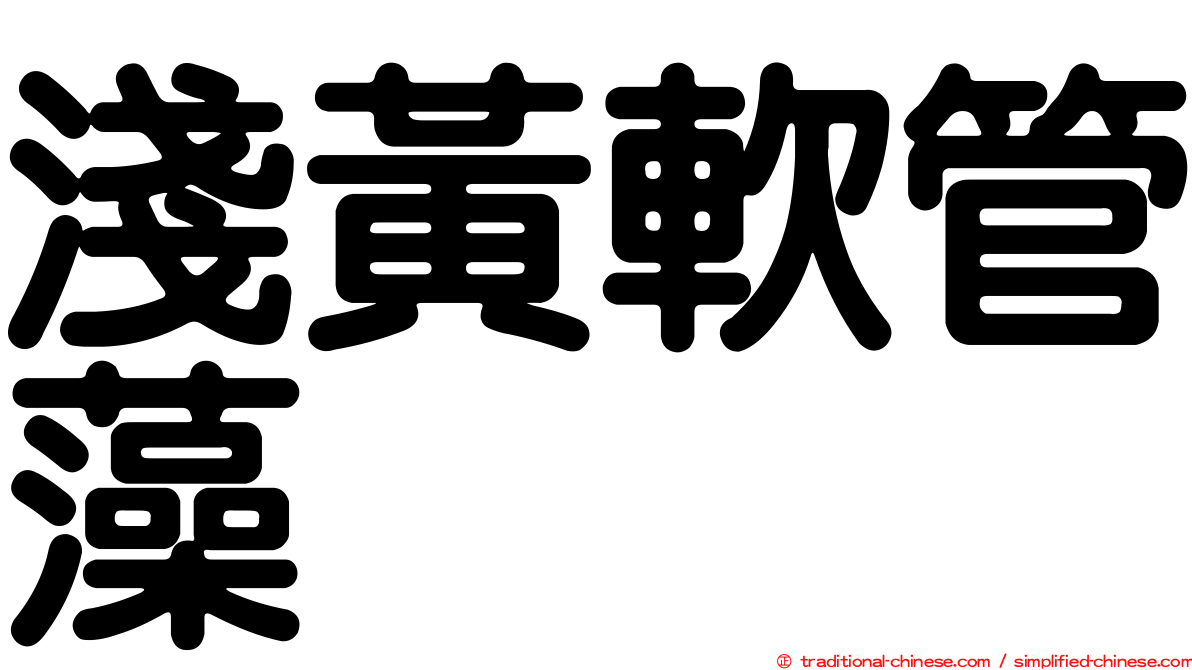 淺黃軟管藻