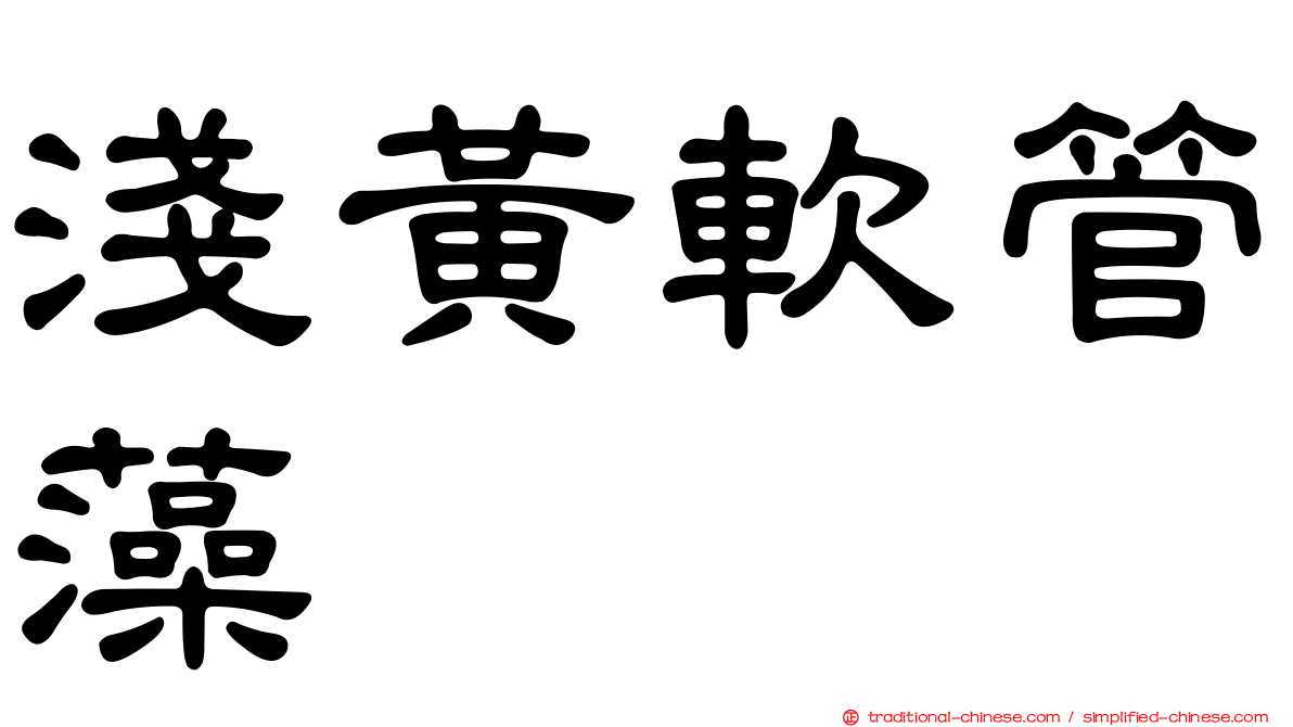 淺黃軟管藻