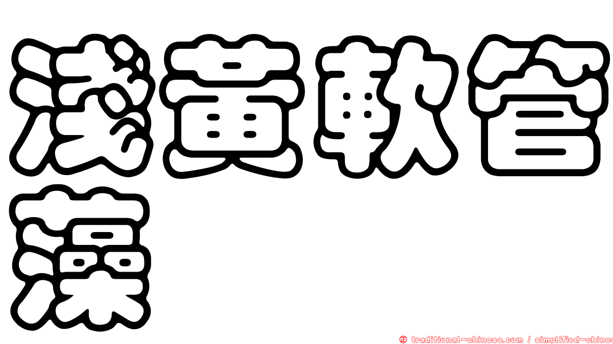 淺黃軟管藻