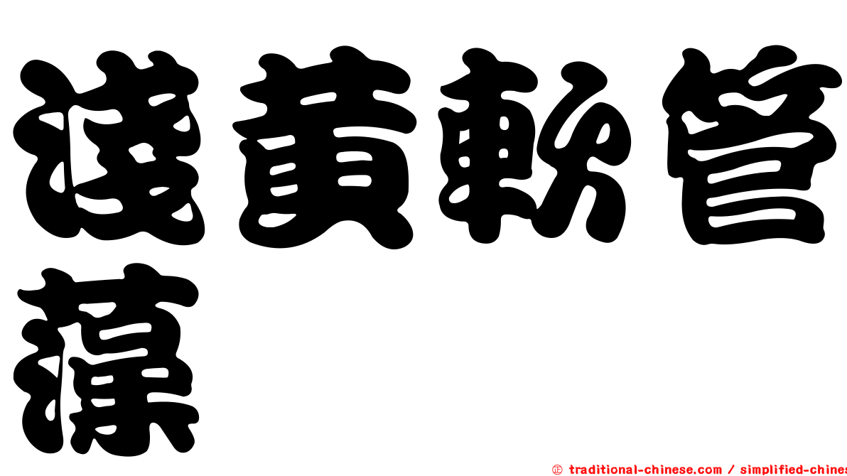 淺黃軟管藻