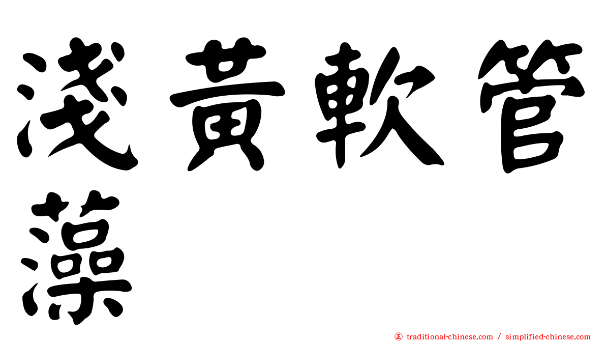 淺黃軟管藻