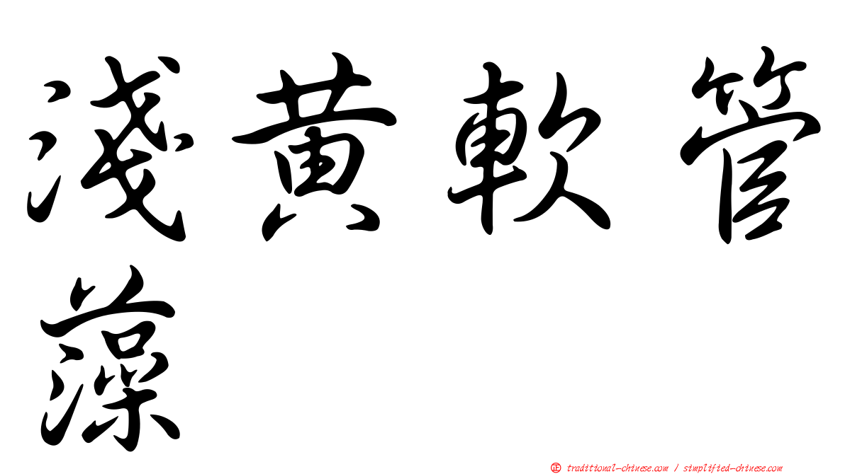 淺黃軟管藻
