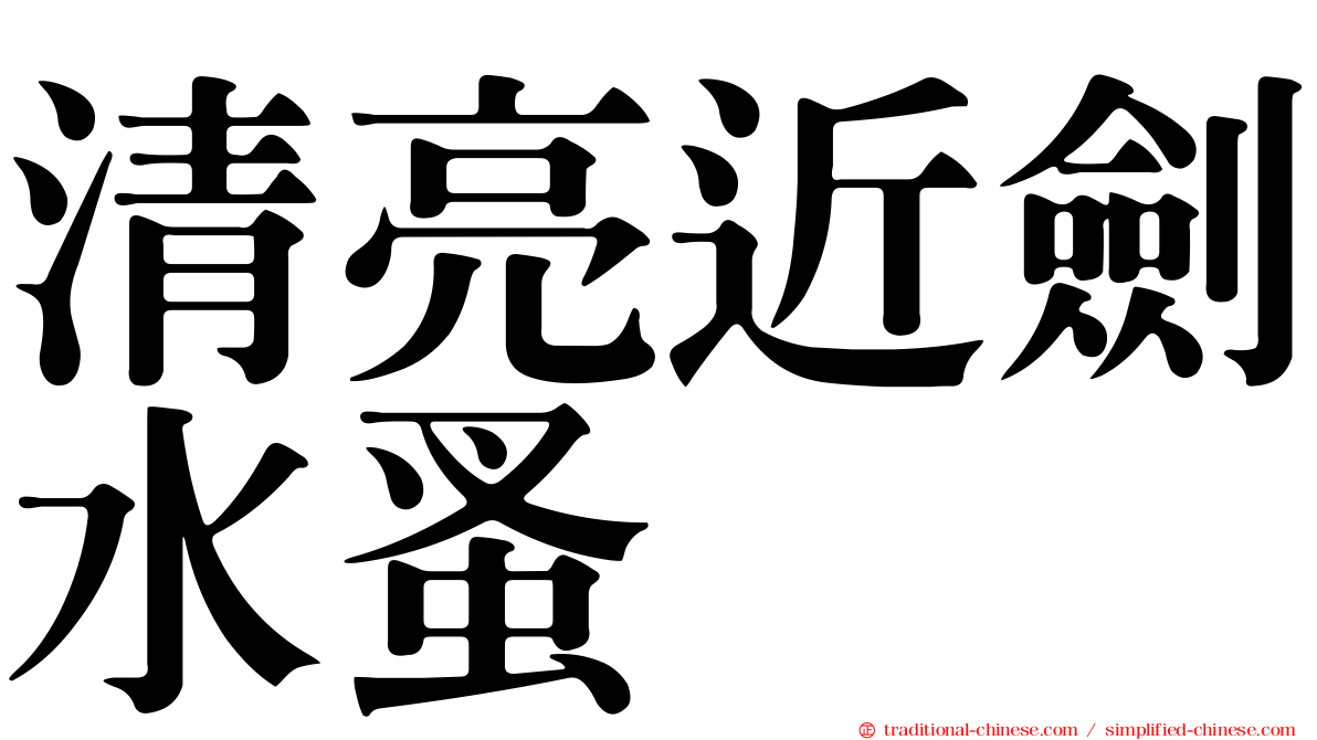 清亮近劍水蚤