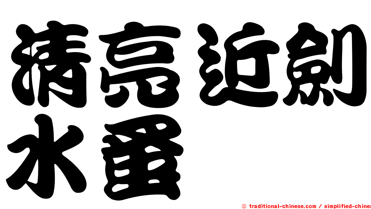 清亮近劍水蚤