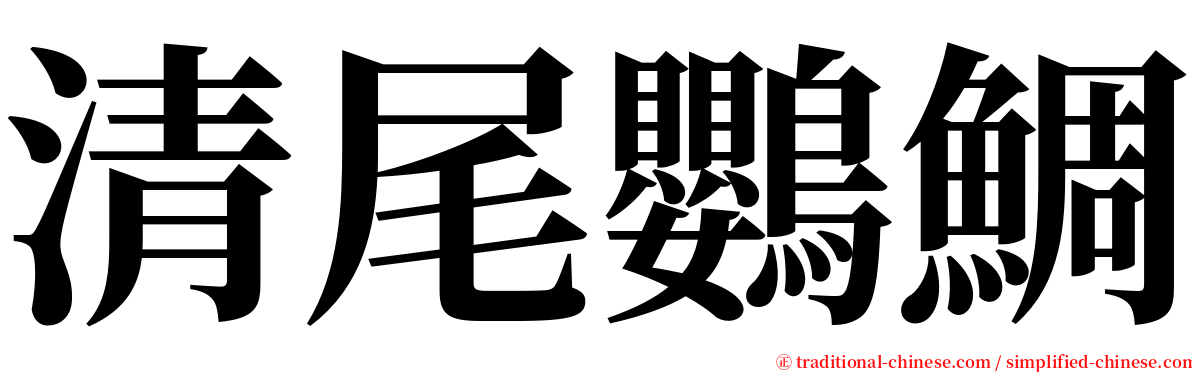 清尾鸚鯛 serif font