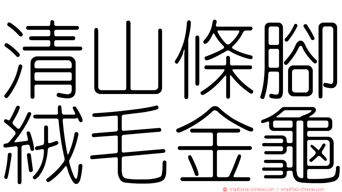 清山條腳絨毛金龜