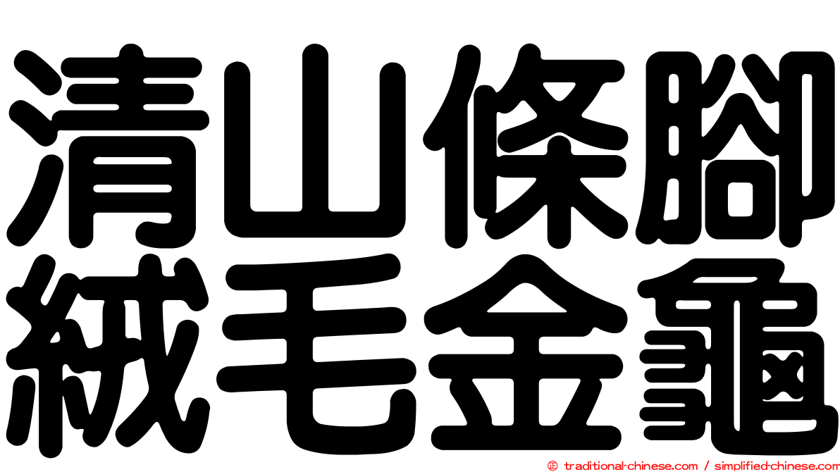 清山條腳絨毛金龜