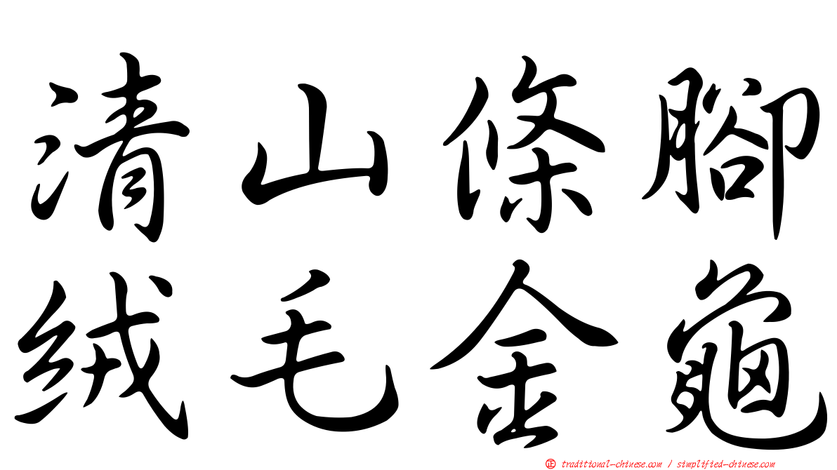 清山條腳絨毛金龜