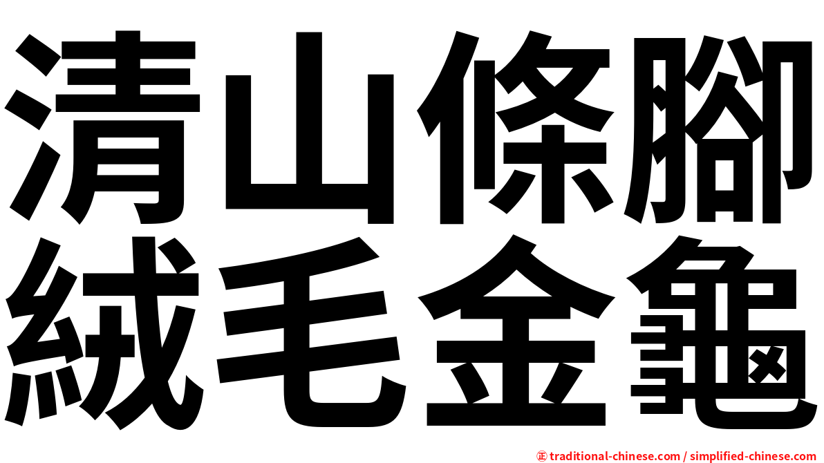 清山條腳絨毛金龜