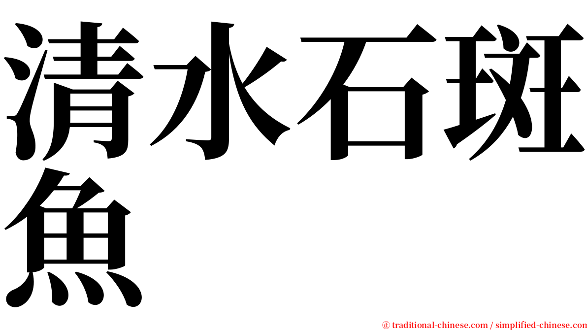 清水石斑魚 serif font