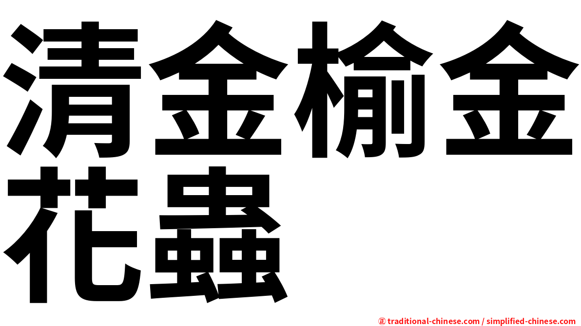 清金榆金花蟲