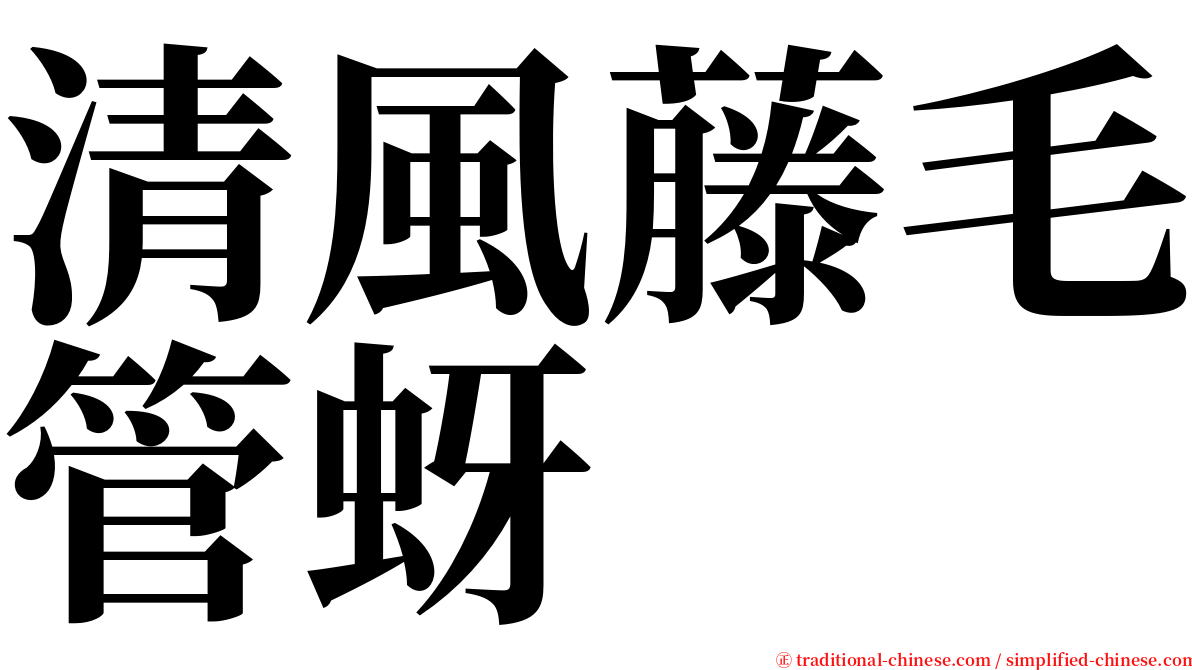 清風藤毛管蚜 serif font