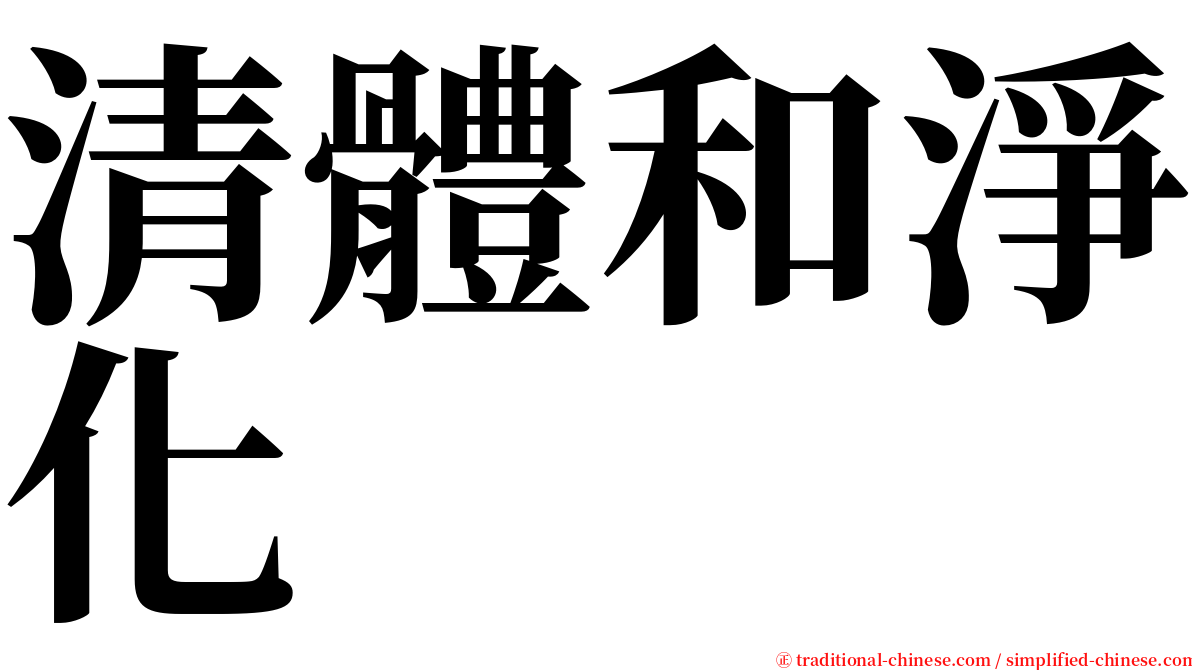 清體和淨化 serif font