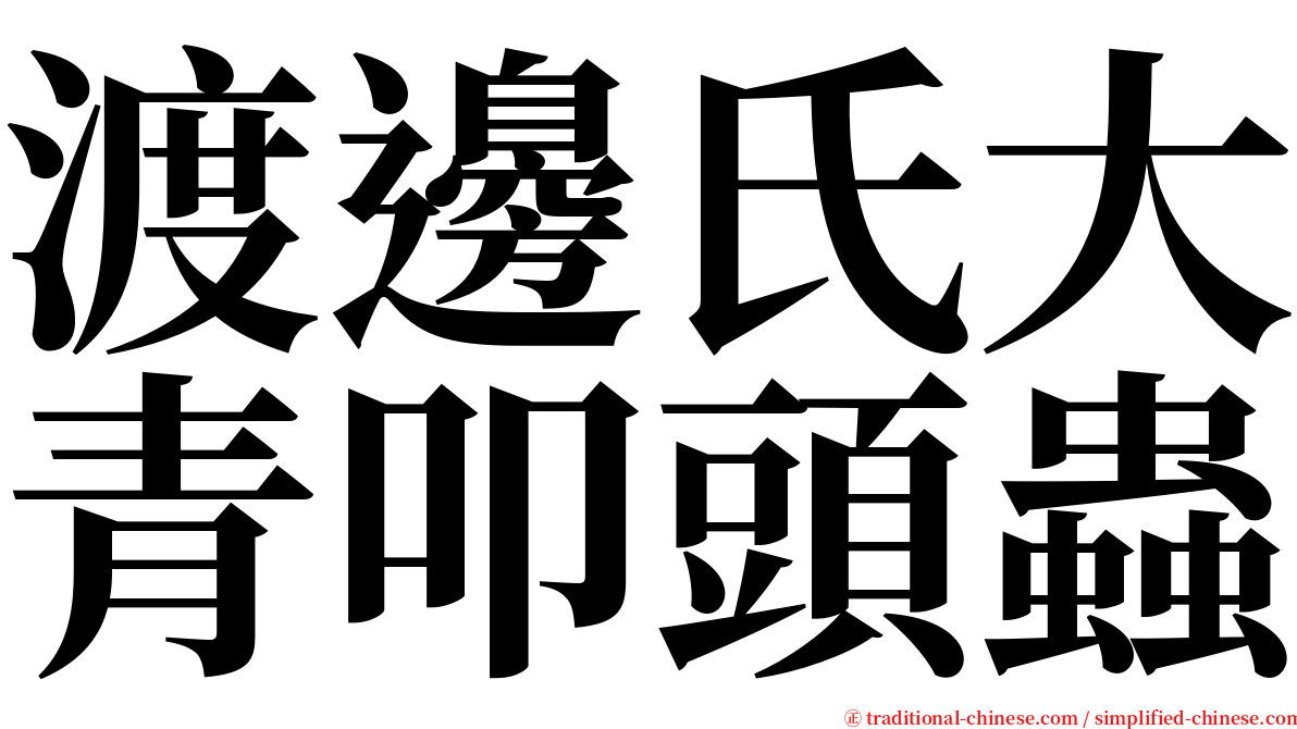 渡邊氏大青叩頭蟲 serif font