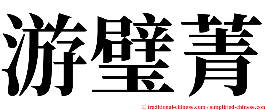 游璧菁 serif font