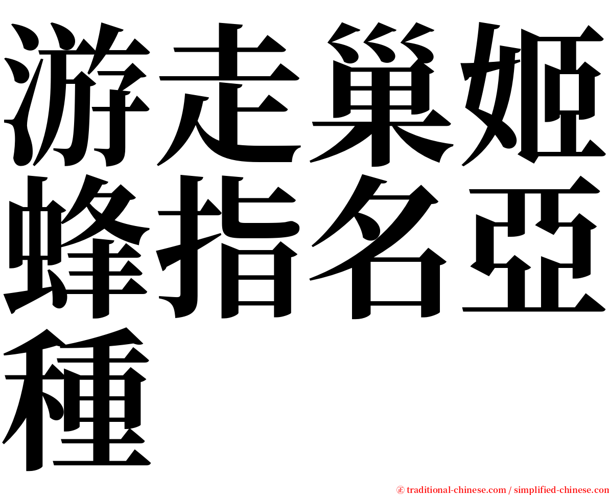 游走巢姬蜂指名亞種 serif font