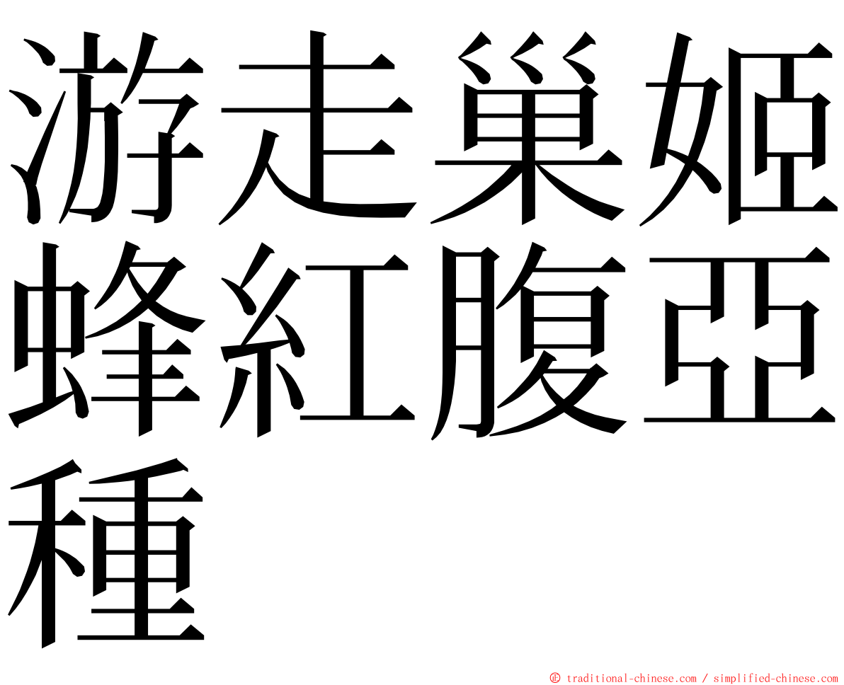 游走巢姬蜂紅腹亞種 ming font