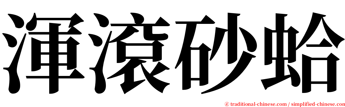 渾滾砂蛤 serif font