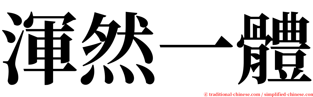 渾然一體 serif font