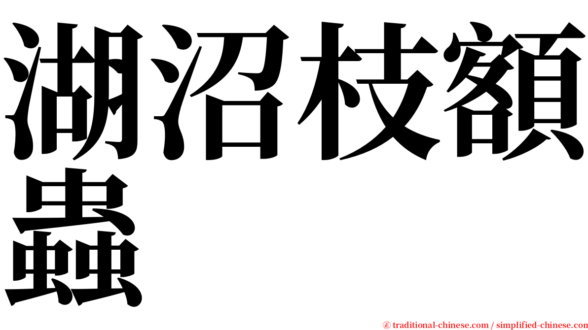 湖沼枝額蟲 serif font