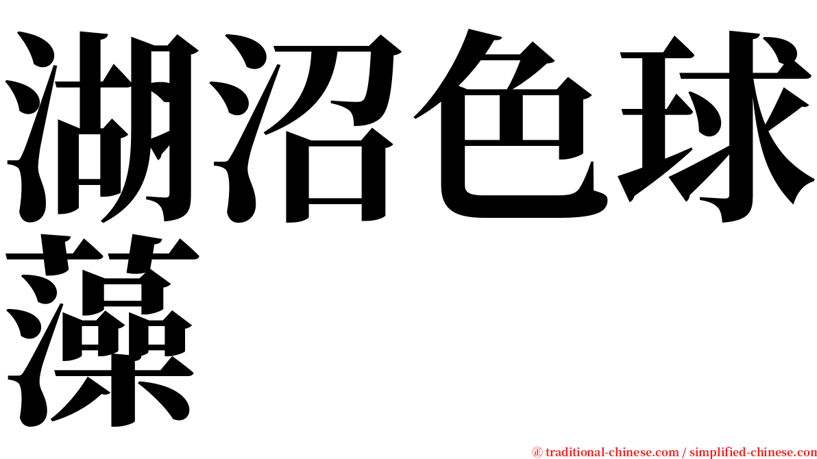 湖沼色球藻 serif font