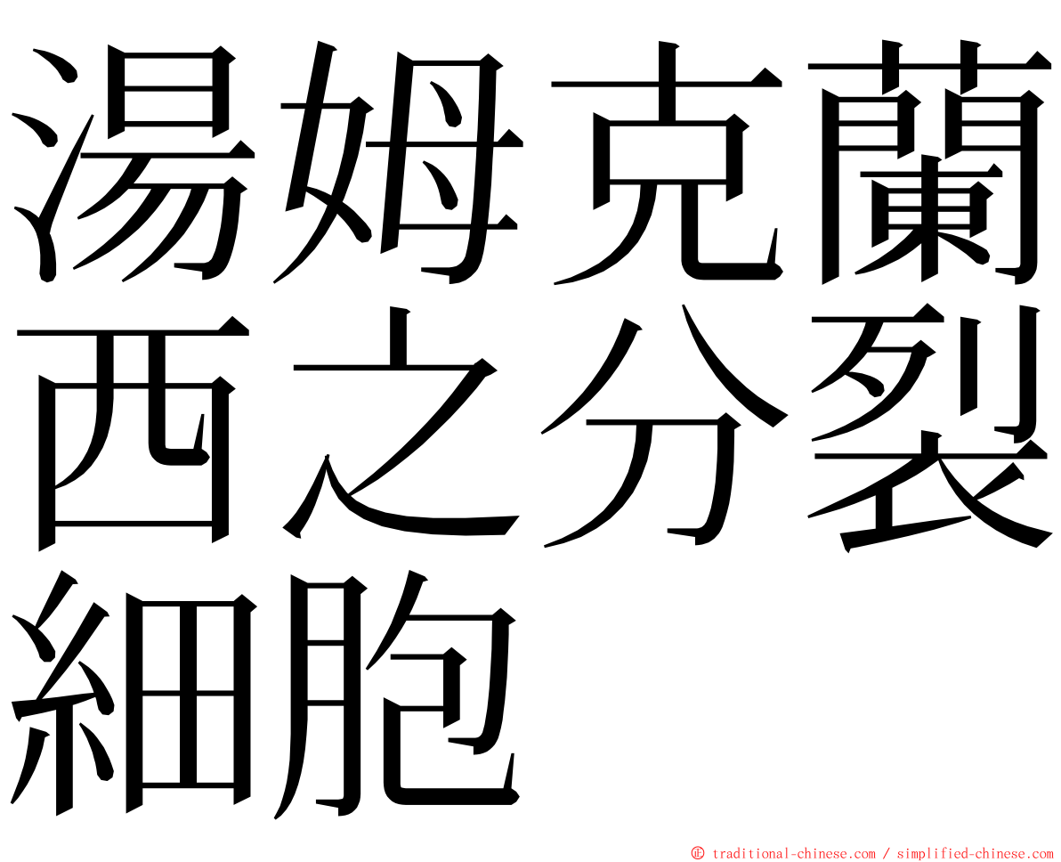 湯姆克蘭西之分裂細胞 ming font