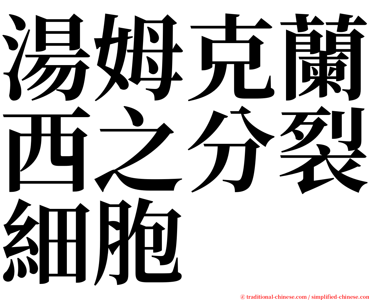 湯姆克蘭西之分裂細胞 serif font