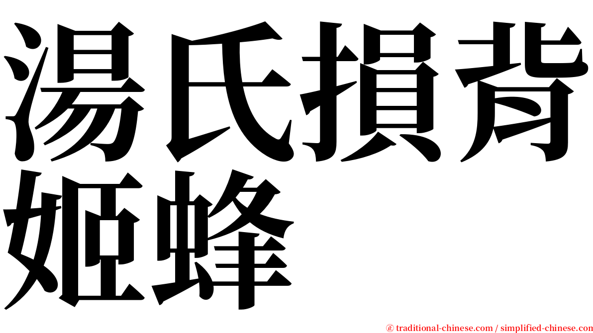 湯氏損背姬蜂 serif font