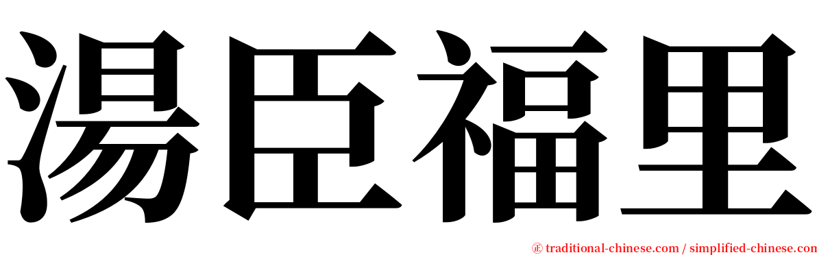 湯臣福里 serif font