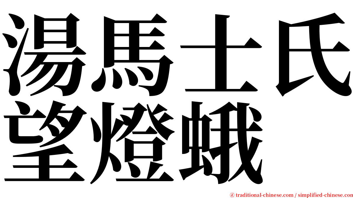 湯馬士氏望燈蛾 serif font