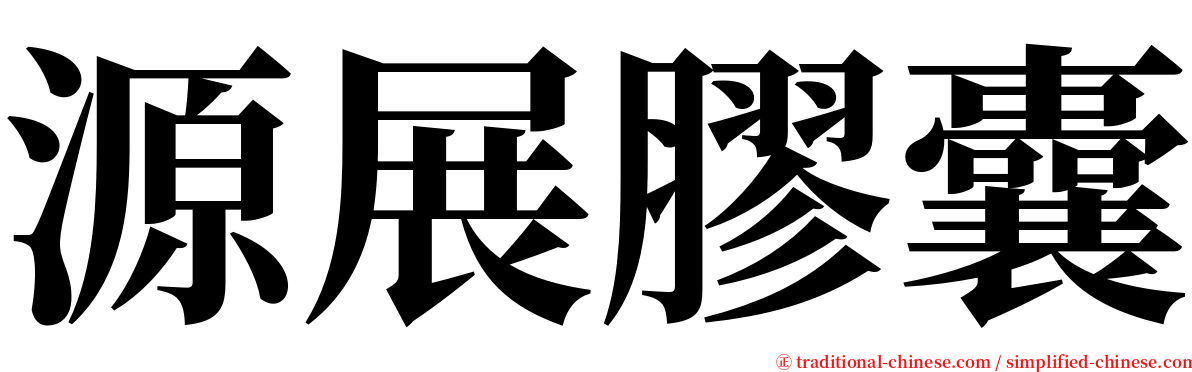 源展膠囊 serif font