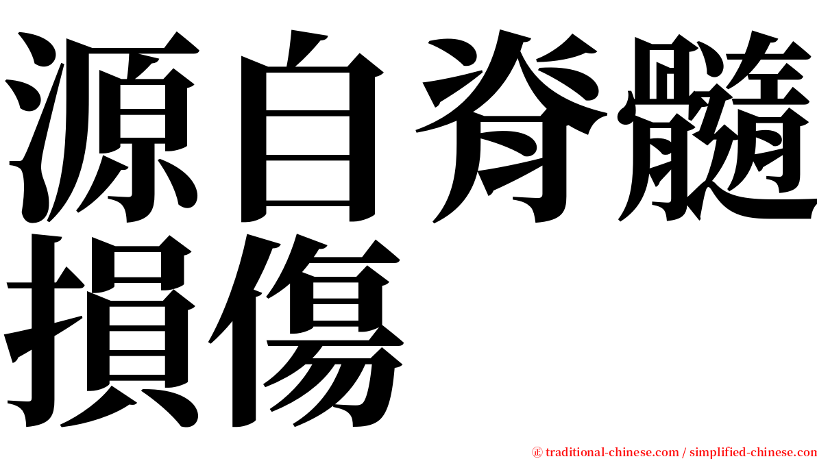 源自脊髓損傷 serif font