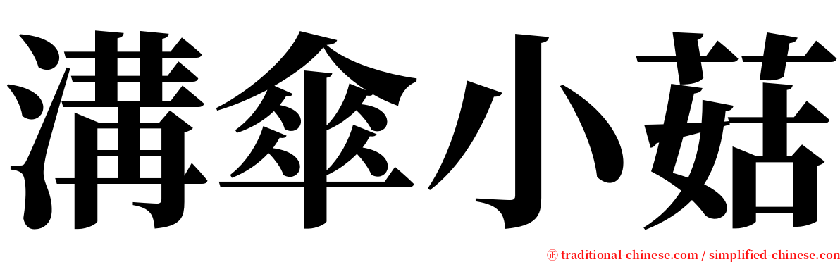 溝傘小菇 serif font