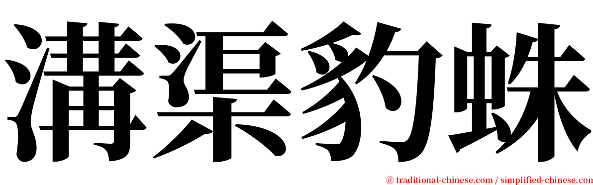 溝渠豹蛛 serif font