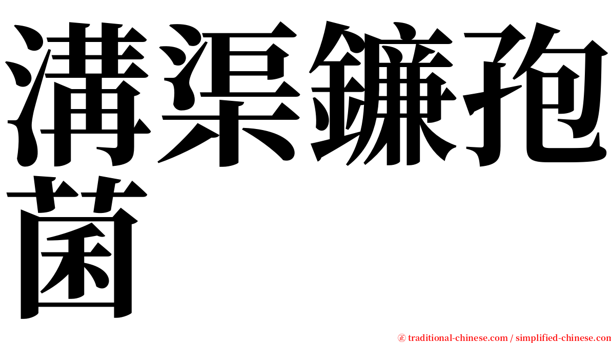 溝渠鐮孢菌 serif font