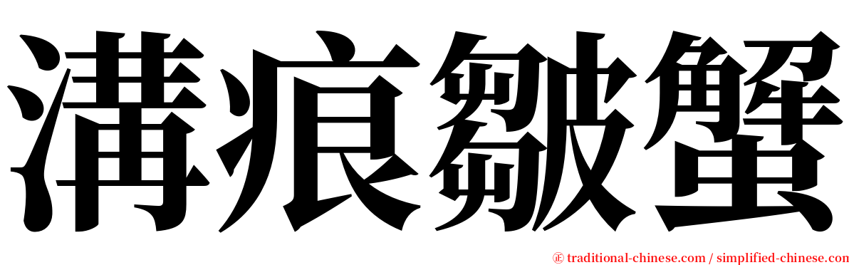 溝痕皺蟹 serif font