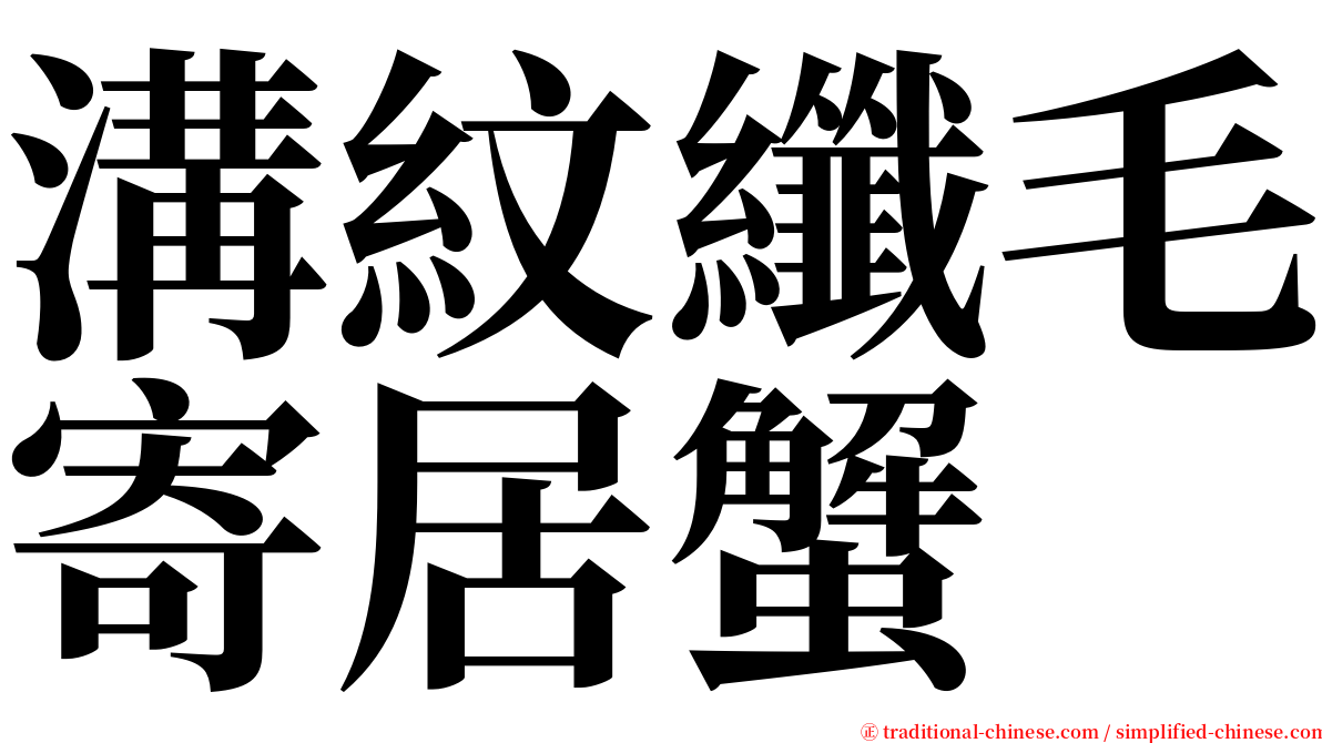 溝紋纖毛寄居蟹 serif font