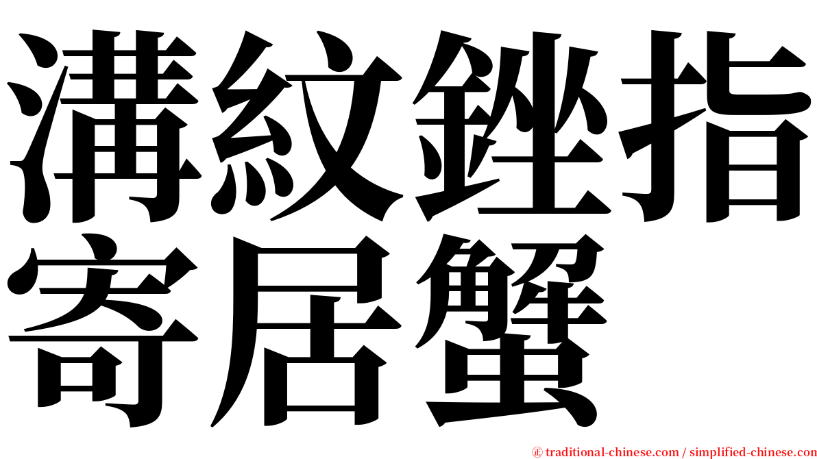 溝紋銼指寄居蟹 serif font