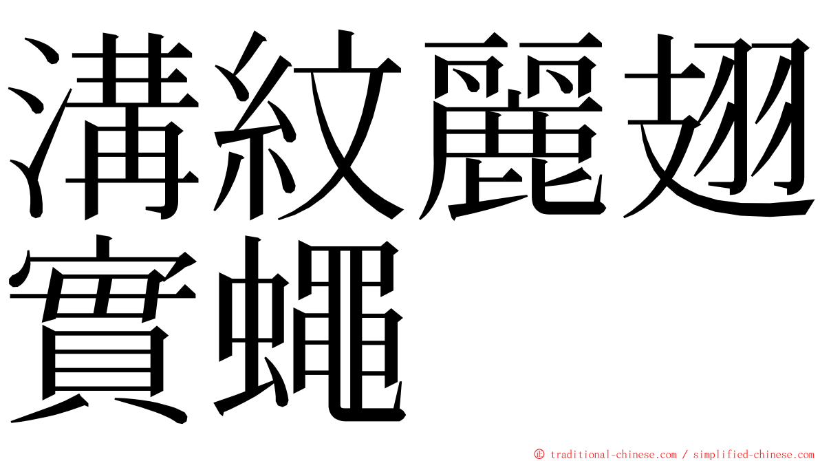 溝紋麗翅實蠅 ming font