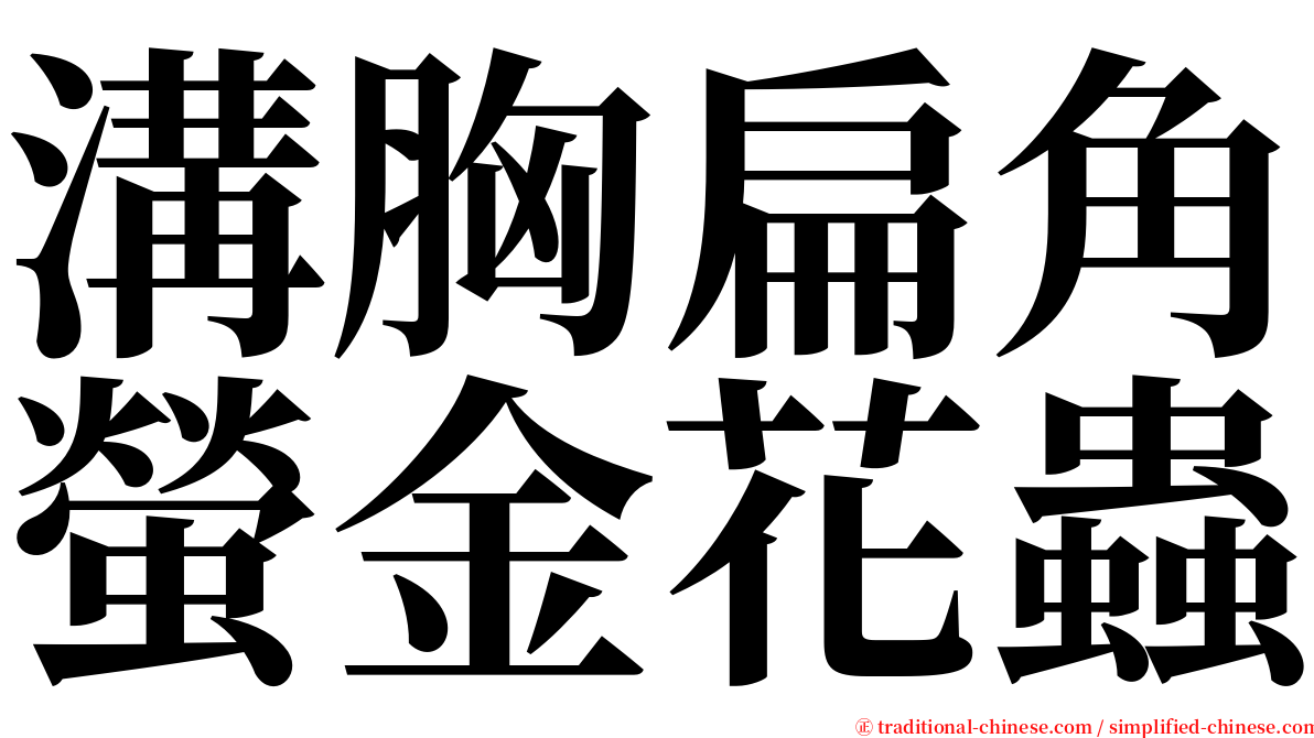 溝胸扁角螢金花蟲 serif font