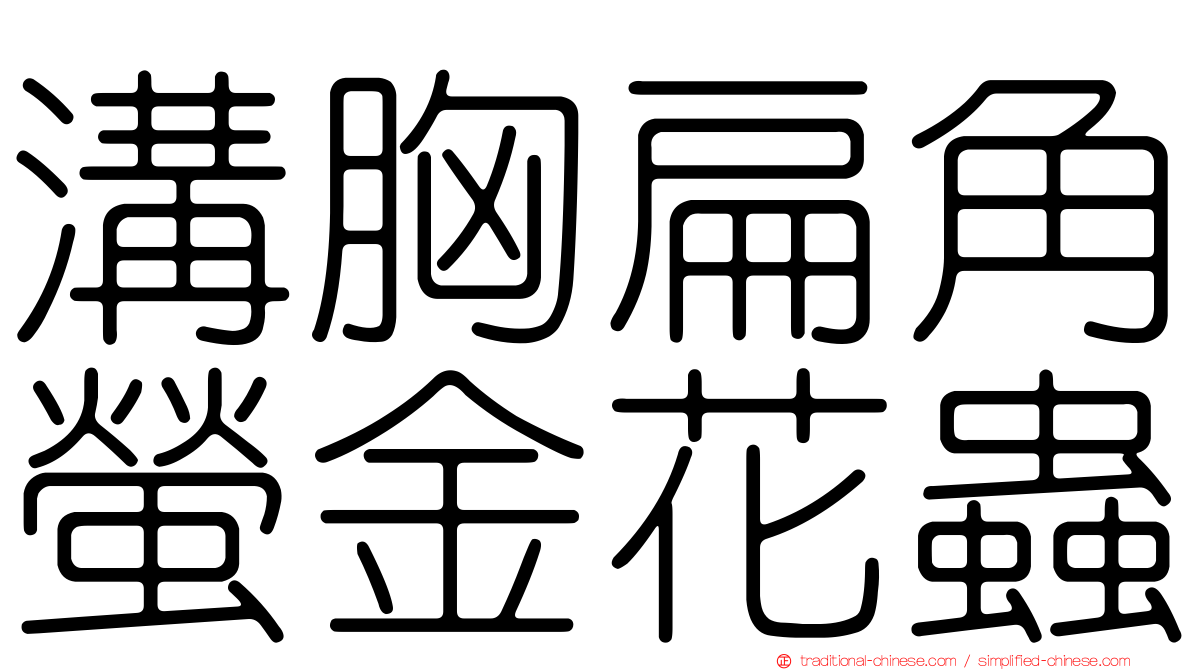 溝胸扁角螢金花蟲