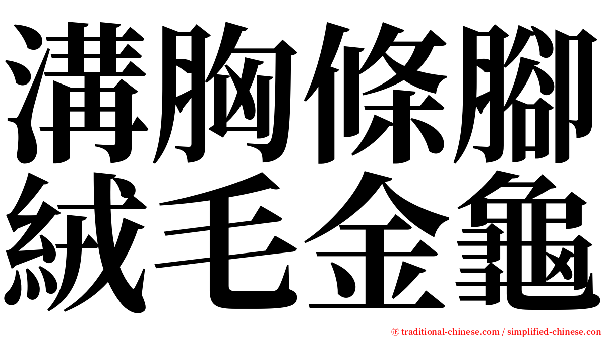 溝胸條腳絨毛金龜 serif font