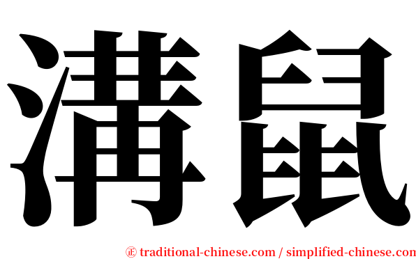 溝鼠 serif font