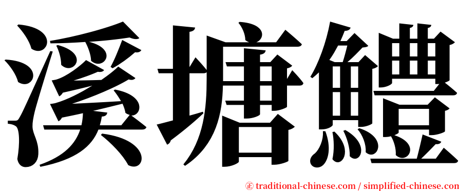 溪塘鱧 serif font