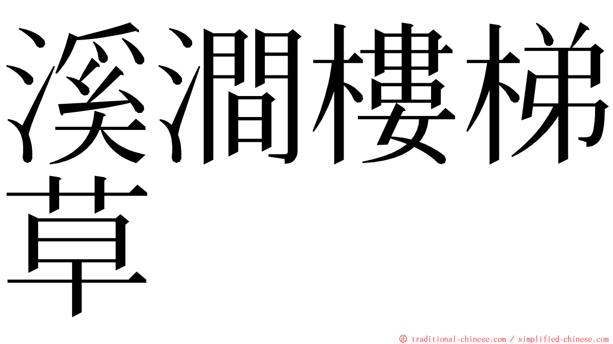 溪澗樓梯草 ming font