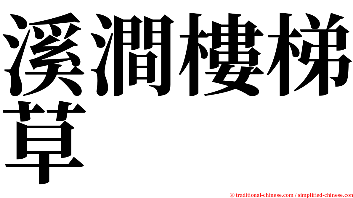 溪澗樓梯草 serif font