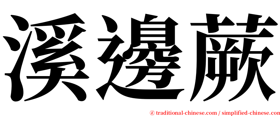 溪邊蕨 serif font